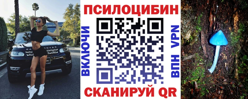 магазин  наркотиков  Снежинск  ссылка на мегу зеркало  Псилоцибиновые грибы прущие грибы 