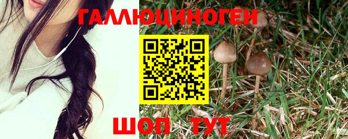 Снежинск  Псилоцибиновые грибы мухоморы  Вход с VPN 